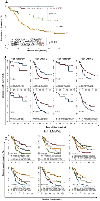 Activated b-Raf-ERK1/2-mTOR signaling pathway and high LMW-E expression predict poor survival in breast cancer patients.