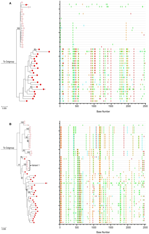 Evolution of HIV-1 <i>env</i> in the absence of cART – positive control patients.