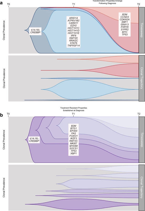 Schematic models of evolutionary progression in transformed and progressed follicular lymphoma.
