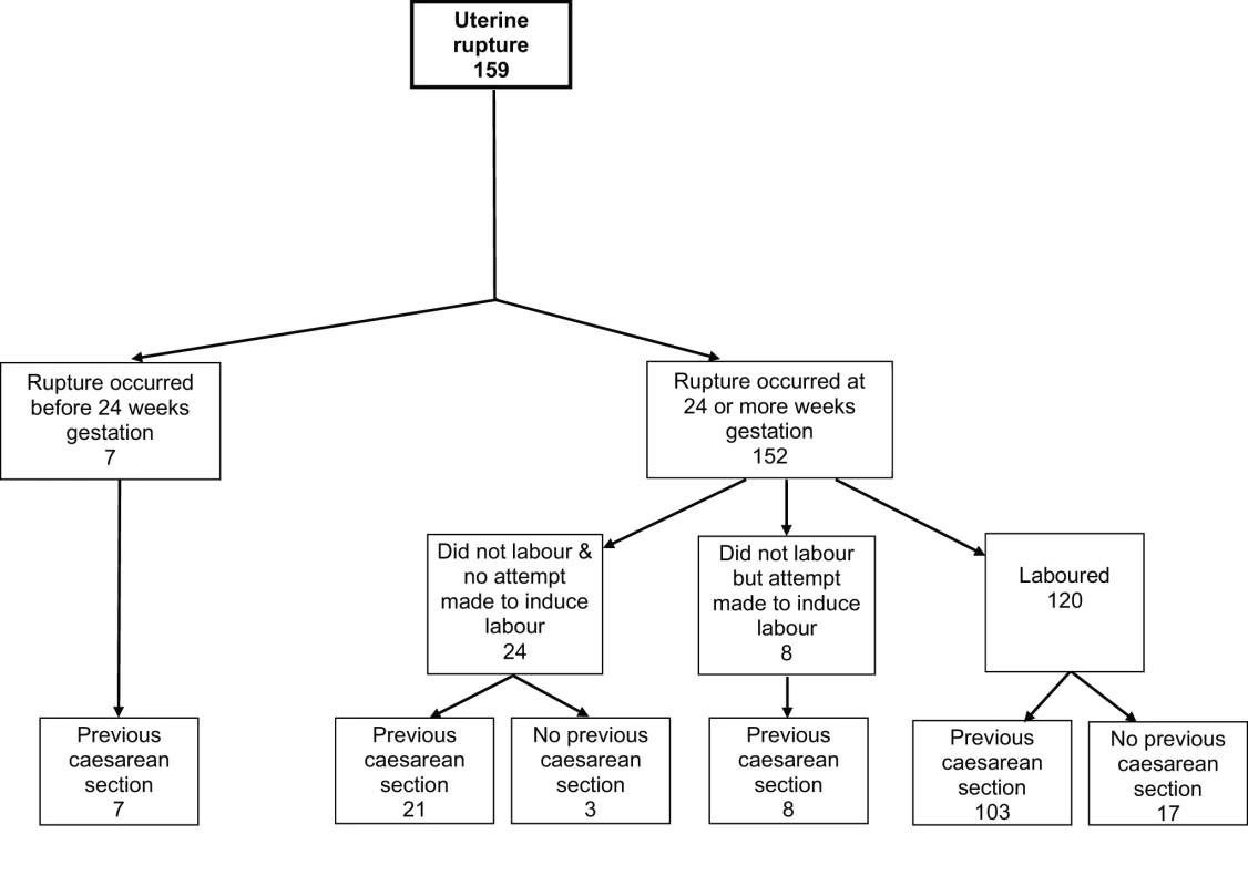 Uterine rupture cases by gestational age at rupture, labour, and previous caesarean section status.