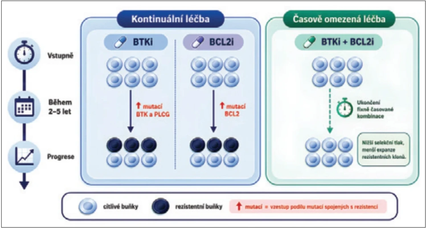 Srovnání dynamiky klonální selekce při kontinuální a fi xní léčbě.