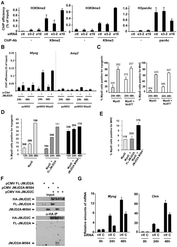 ΔN-JMJD2A enables the removal of a repressive chromatin state.