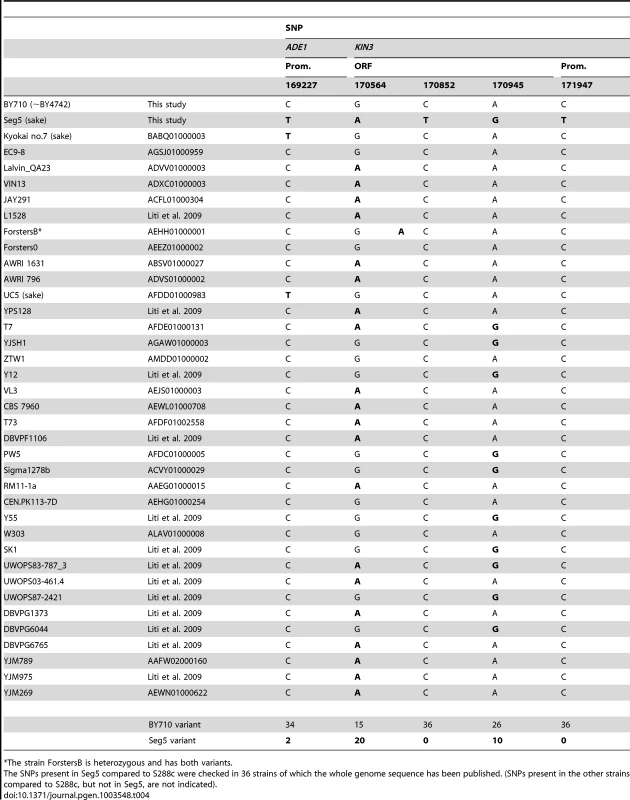 Occurrence of the SNPs in the causative genes <i>ADE1</i> and <i>KIN3</i> in other yeast strains.