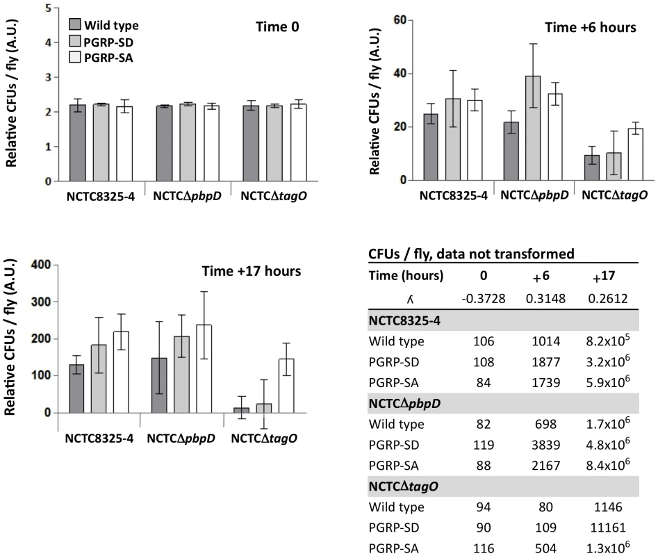 PGRP-SA is fundamental for controlling bacterial numbers in flies infected with a <i>S. aureus</i> mutant that lacks WTA.