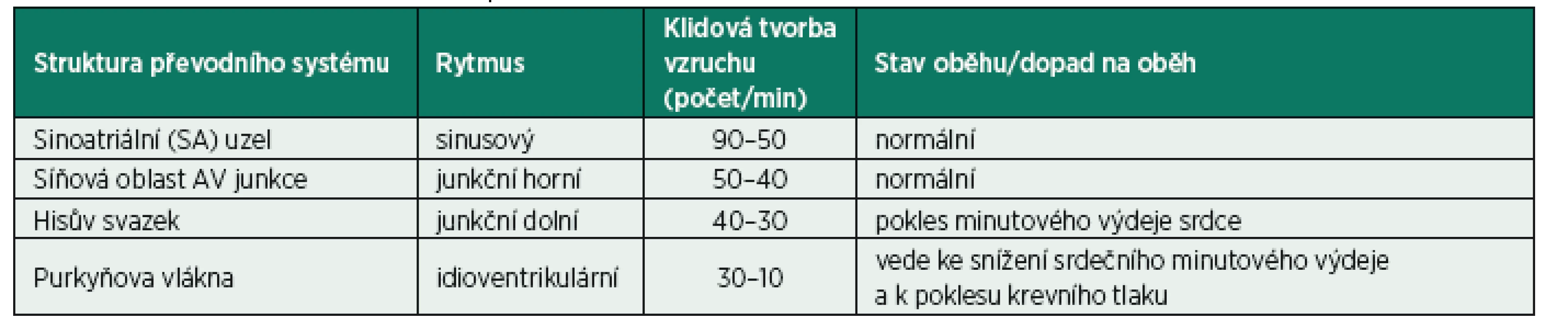 Přehled míst tvorby vzruchu v srdci