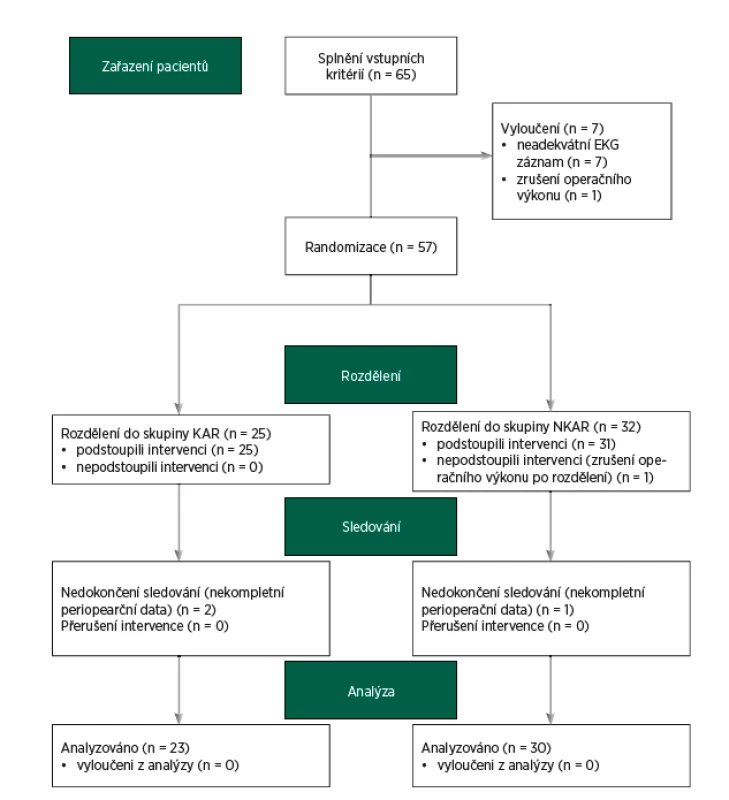 CONSORT flow diagram