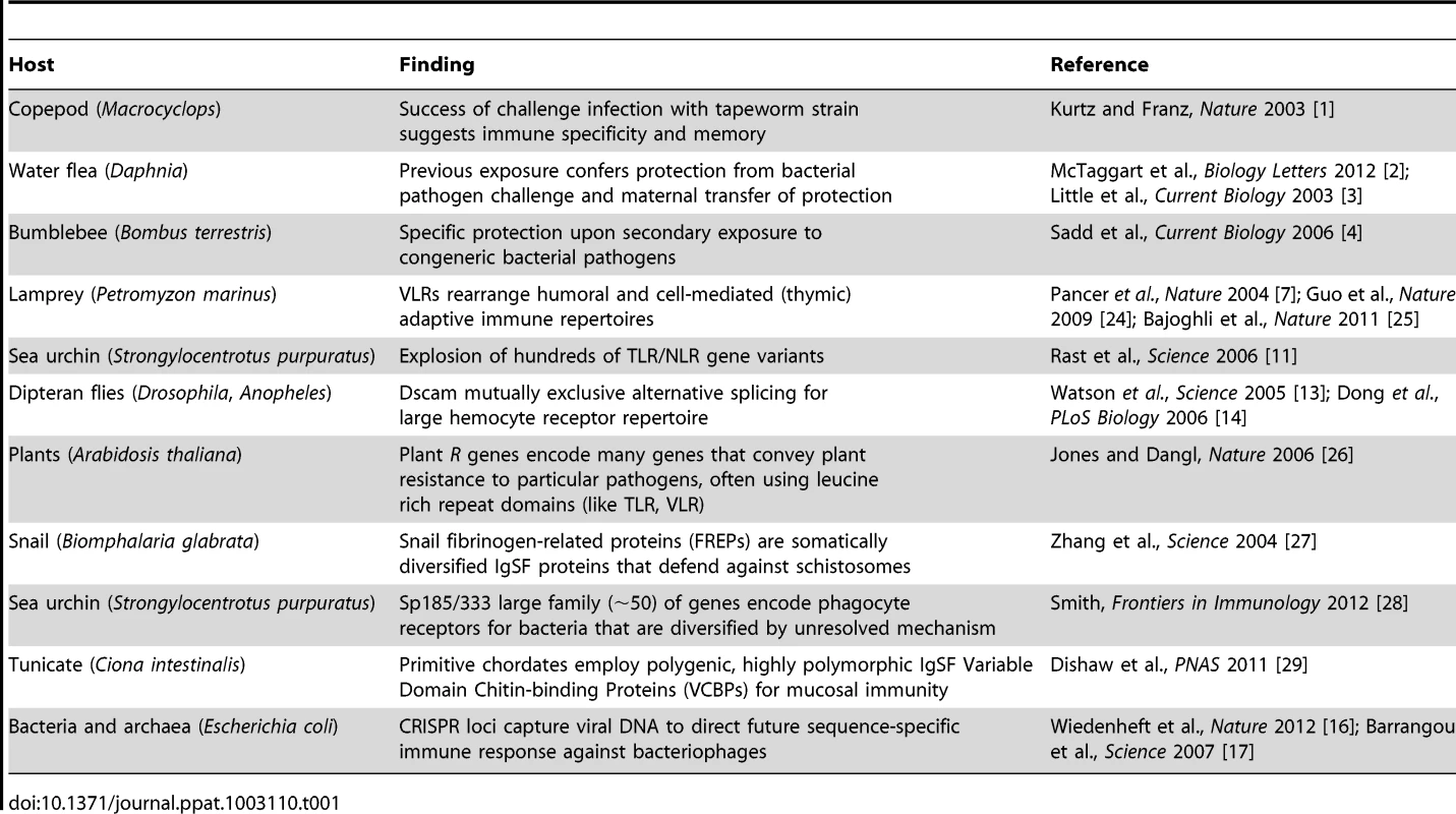 Examples of adaptive-like immune mechanisms outside of the jawed vertebrates.