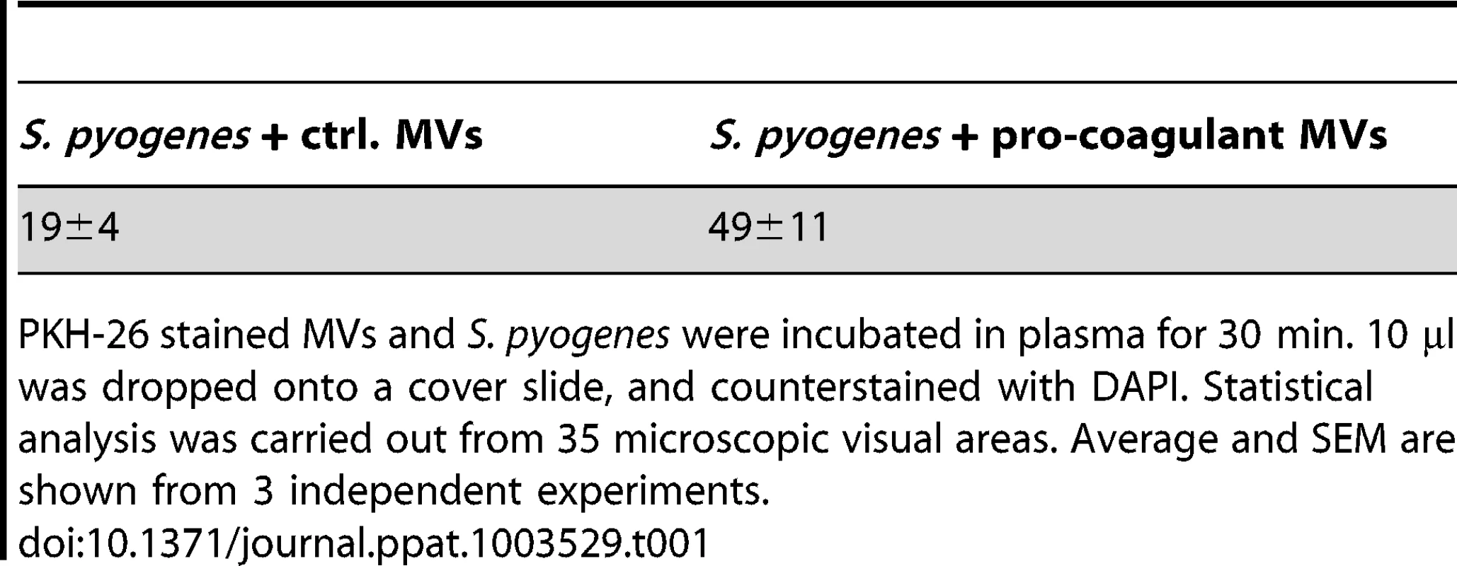 Number of MV-bacteria aggregates (≥10 µm sized).