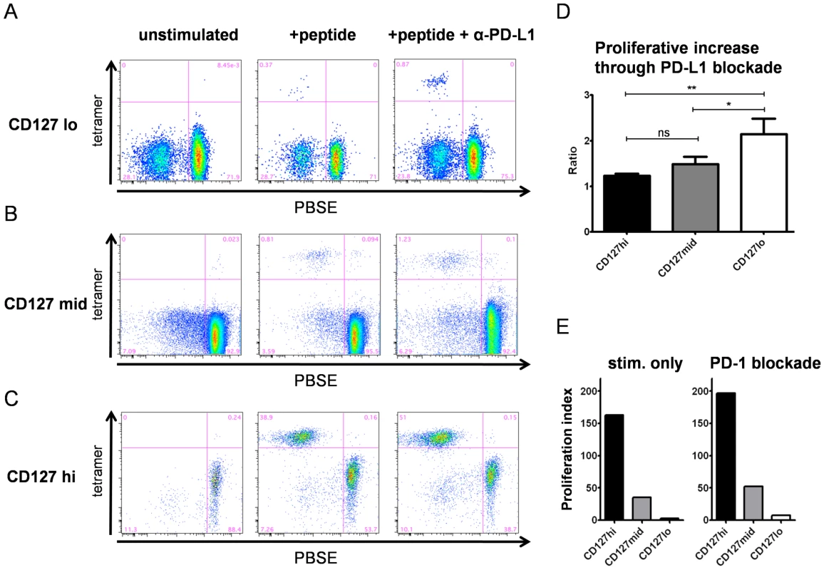 Proliferative capacity and exhaustion inversely correlate with CD127 expression.