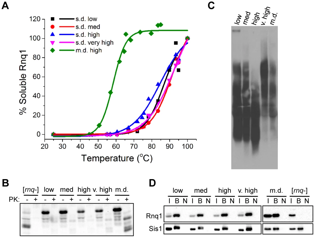 Biophysical parameters associated with fiber fragmentation do not distinguish [<i>RNQ</i>+] variants.