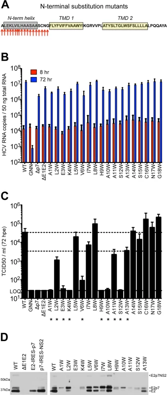 Mutation of the N-terminal helix is deleterious for infectious virus production <i>in vitro</i>.