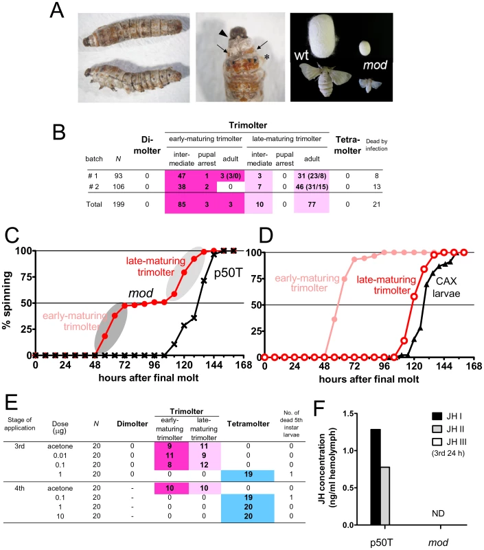 Characterization of the <i>mod</i> mutant.
