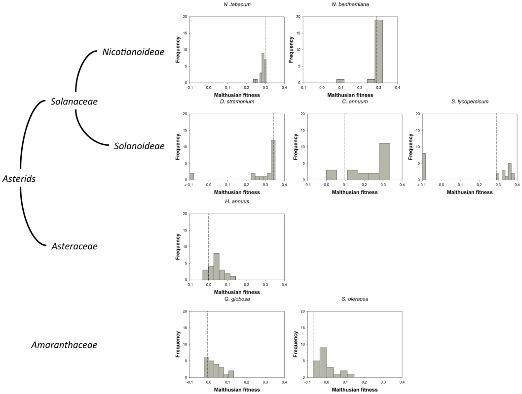 DMFEs across different host species.