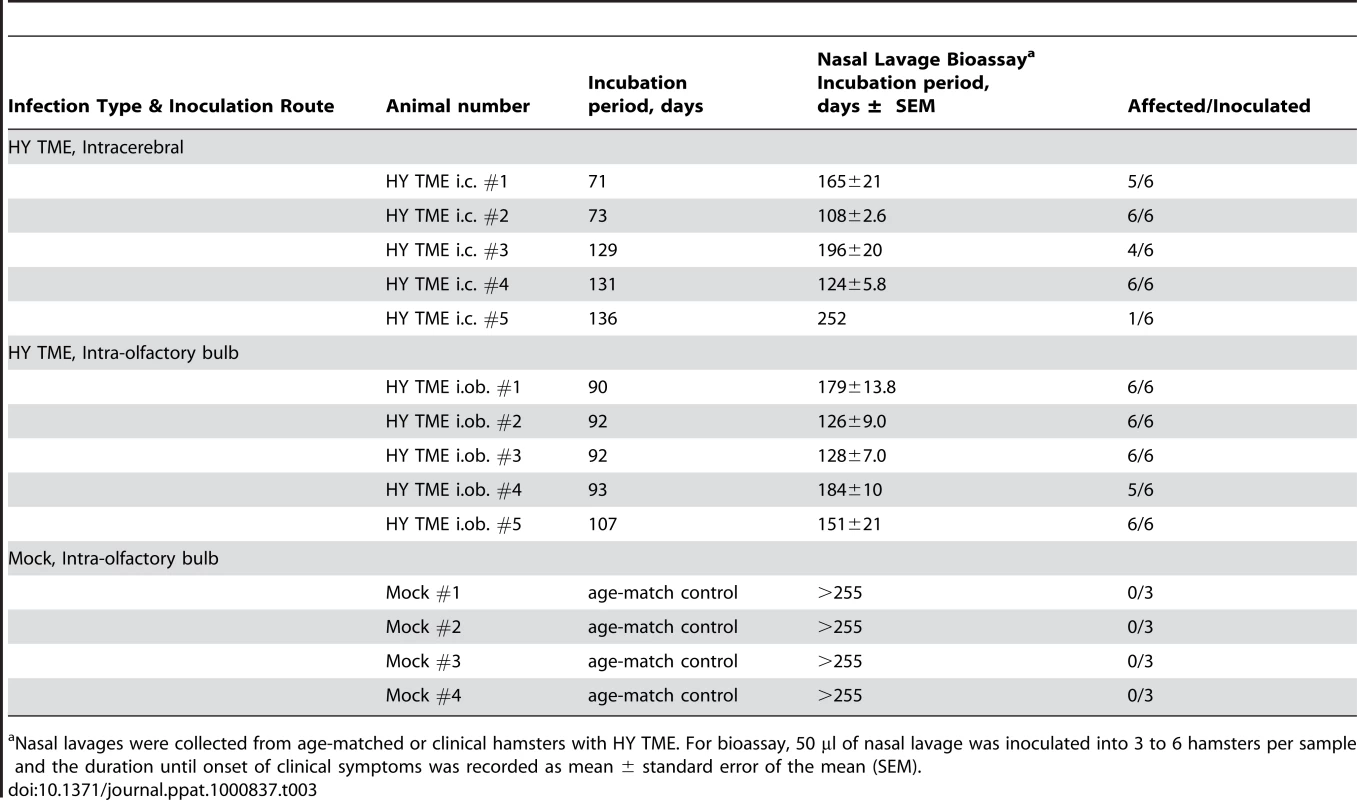 Prion infectivity in nasal lavages of HY TME infected hamsters.