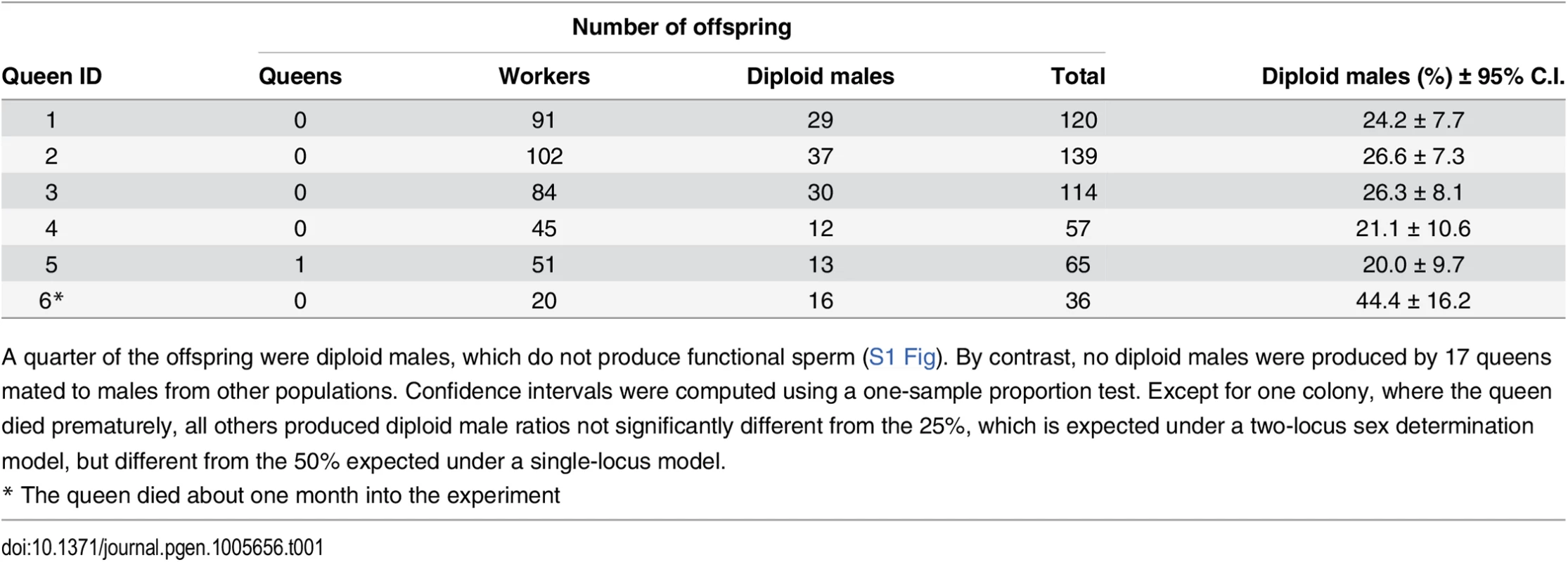 Offspring produced by sib-mated queens.