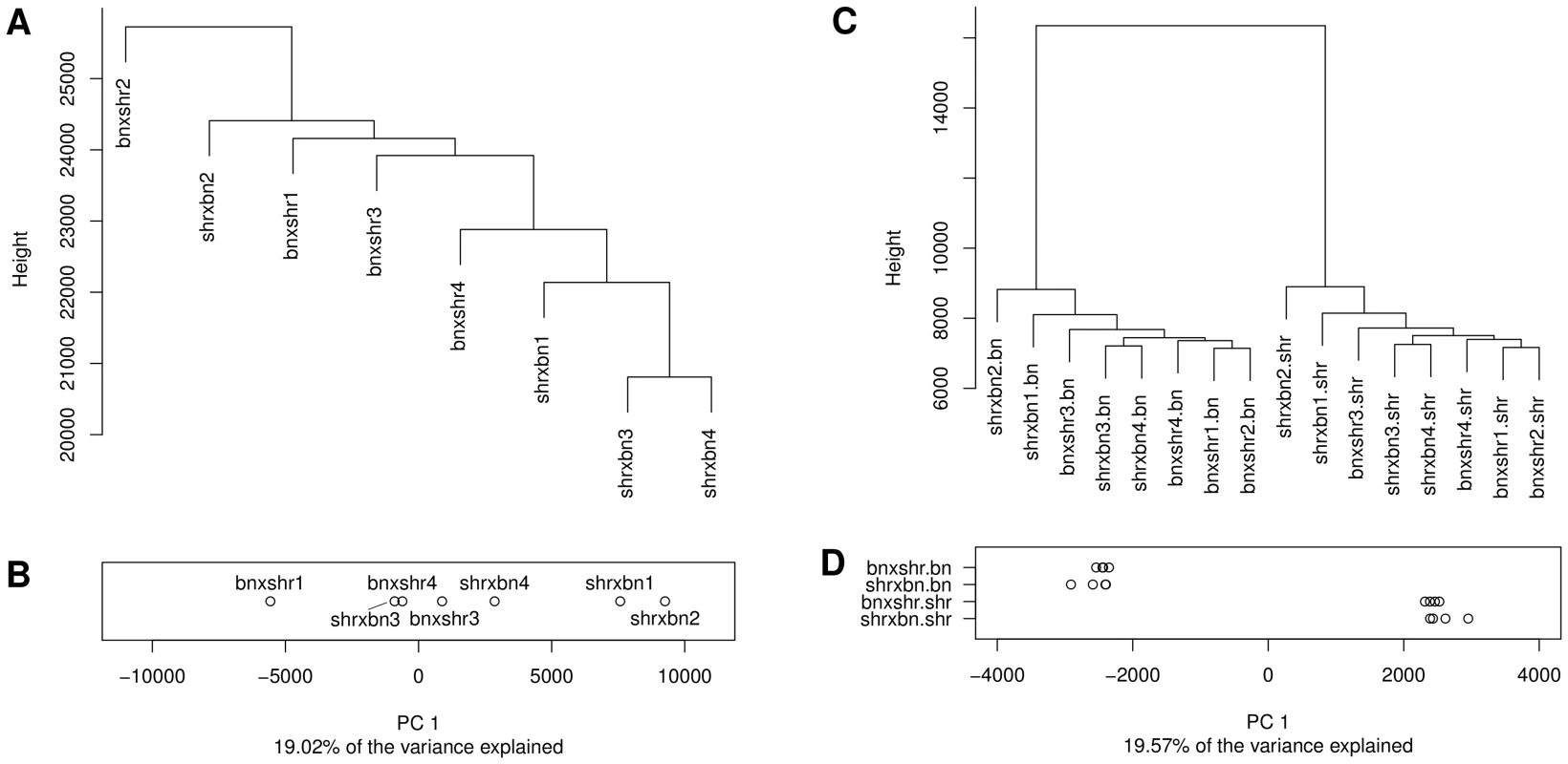 Hierarchical clustering and principal component analysis of CpG methylation profiles obtained in the F1 reciprocal crosses.