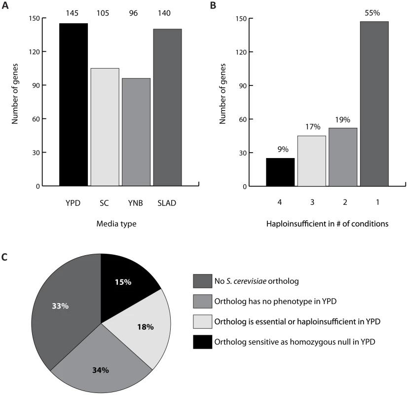 Using the pooled growth assay to examine haploinsufficiency in <i>C. albicans</i>.
