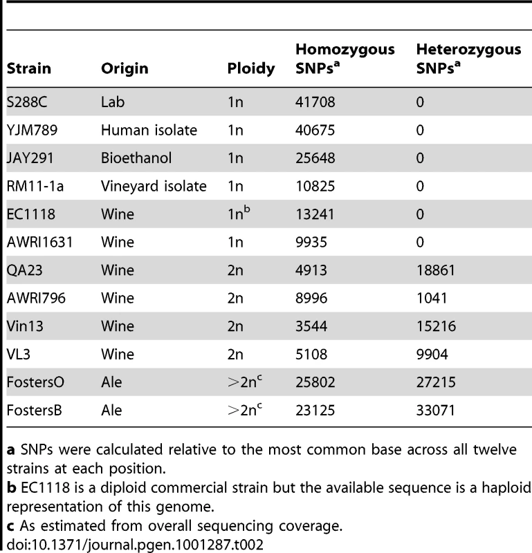 Heterozygosity in industrial <i>S. cerevisiae</i> strains.