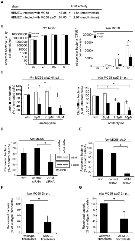 Inhibition of acid sphingomyelinase prevents <i>N. meningitidis</i> uptake by host cells.