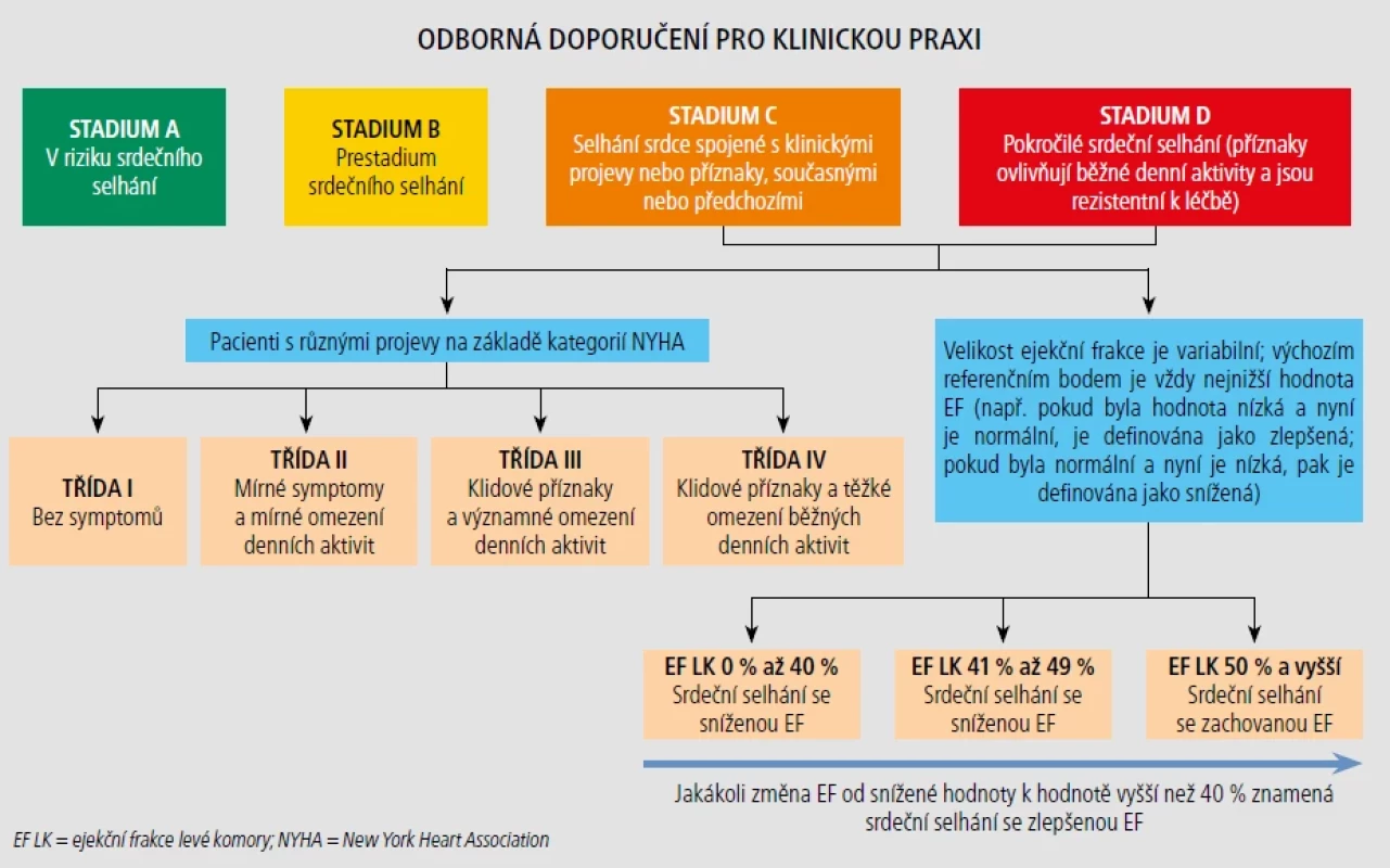 Odborná doporučení pro klinickou praxi.