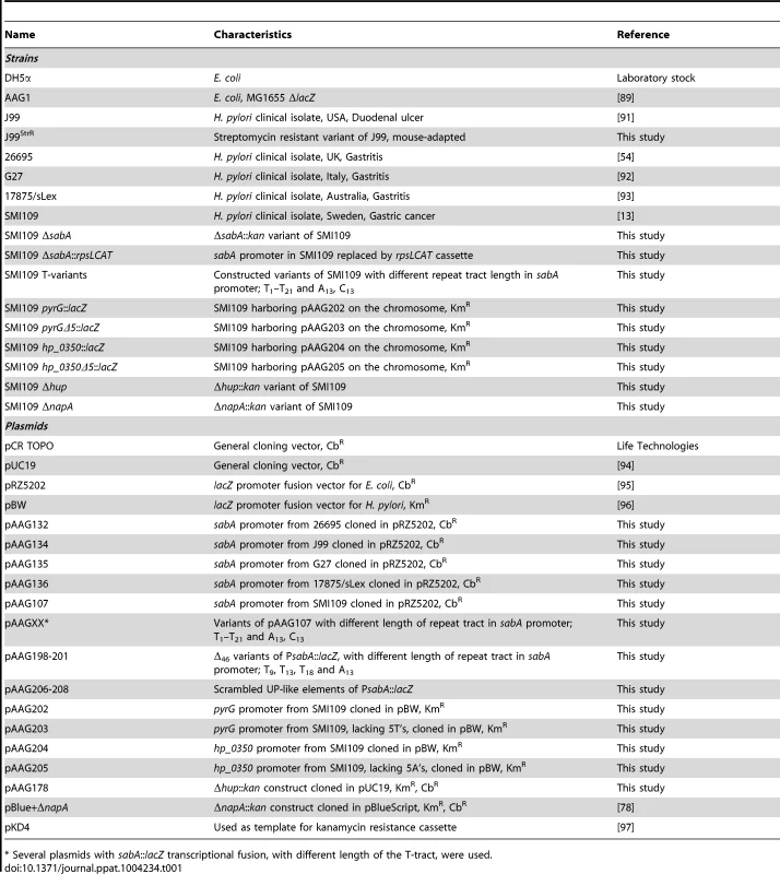 Strains and plasmids used in this study.