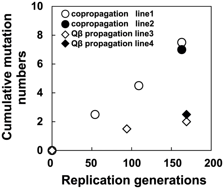 Time course of changes in cumulative mutations in the Qβ genome.