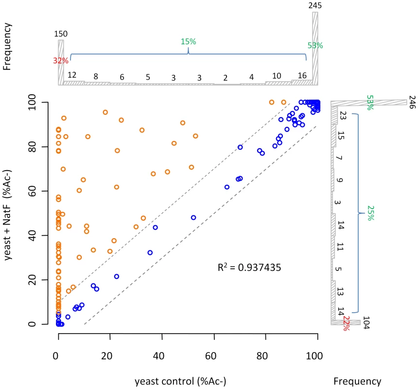 NatF N-terminally acetylates yeast substrates <i>in vivo</i>.