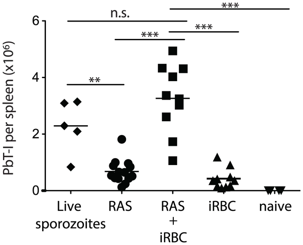 PbT-I cells proliferate to greater numbers when sequentially primed with liver-stage then blood-stage PbA parasites.