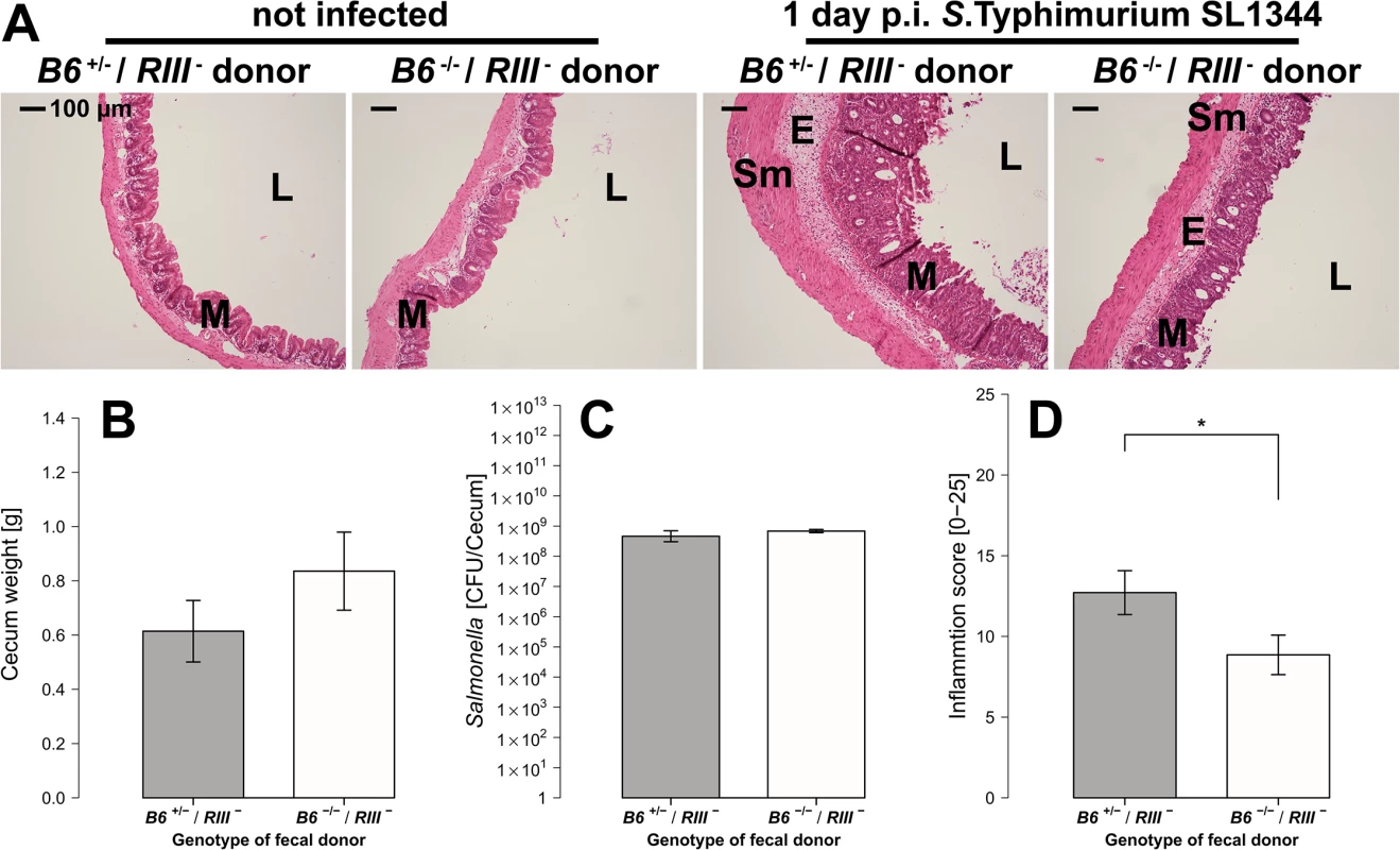 <i>B4galnt2</i>-dependent microbiota composition is responsible for enhanced susceptibility to inflammation.