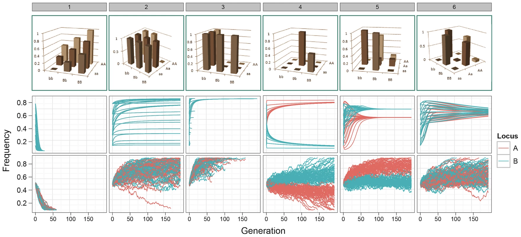 Allele frequency trajectories under selection.
