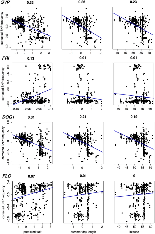 Correlation (Pearson <i>r</i><sup>2</sup>) with estimated SNP frequency at 4 important flowering loci.
