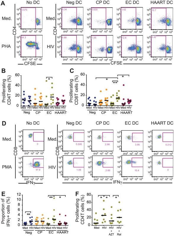 Antigen-presenting properties of cDCs after exposure to HIV-1.