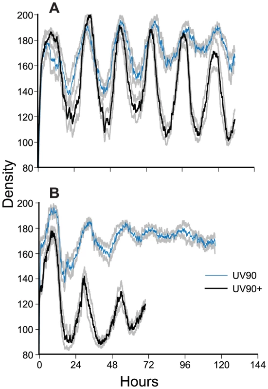 Densitometry of <i>chol<sup>+</sup></i>; <i>frq<sup>+</sup></i> progeny.