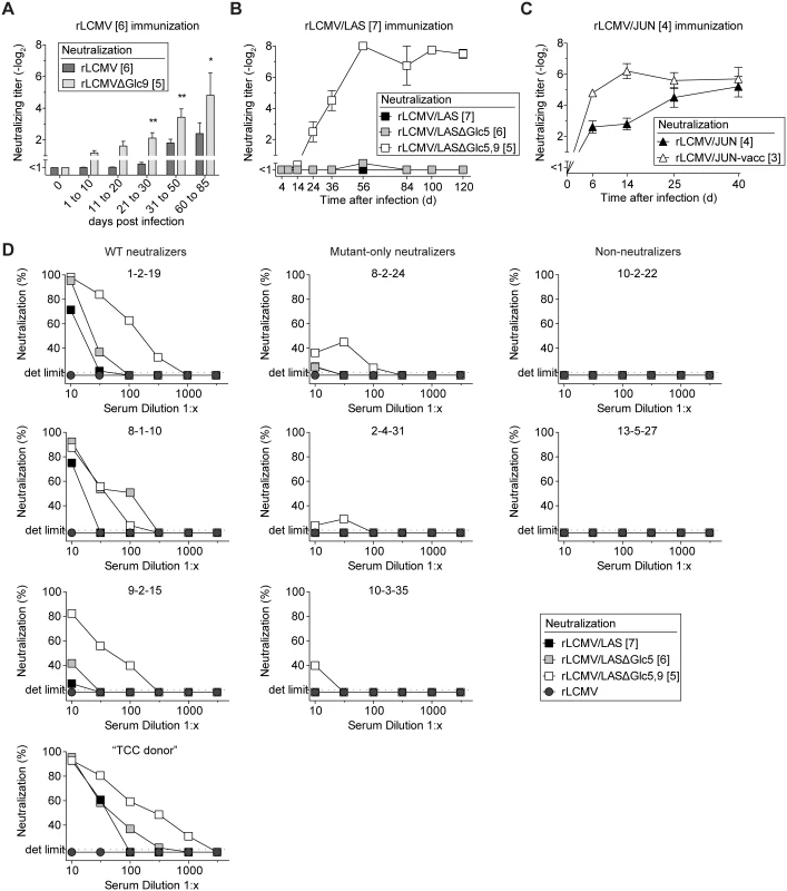 WT virus-induced antibody responses neutralize preferentially GP-1 variants that lack specific glycans.