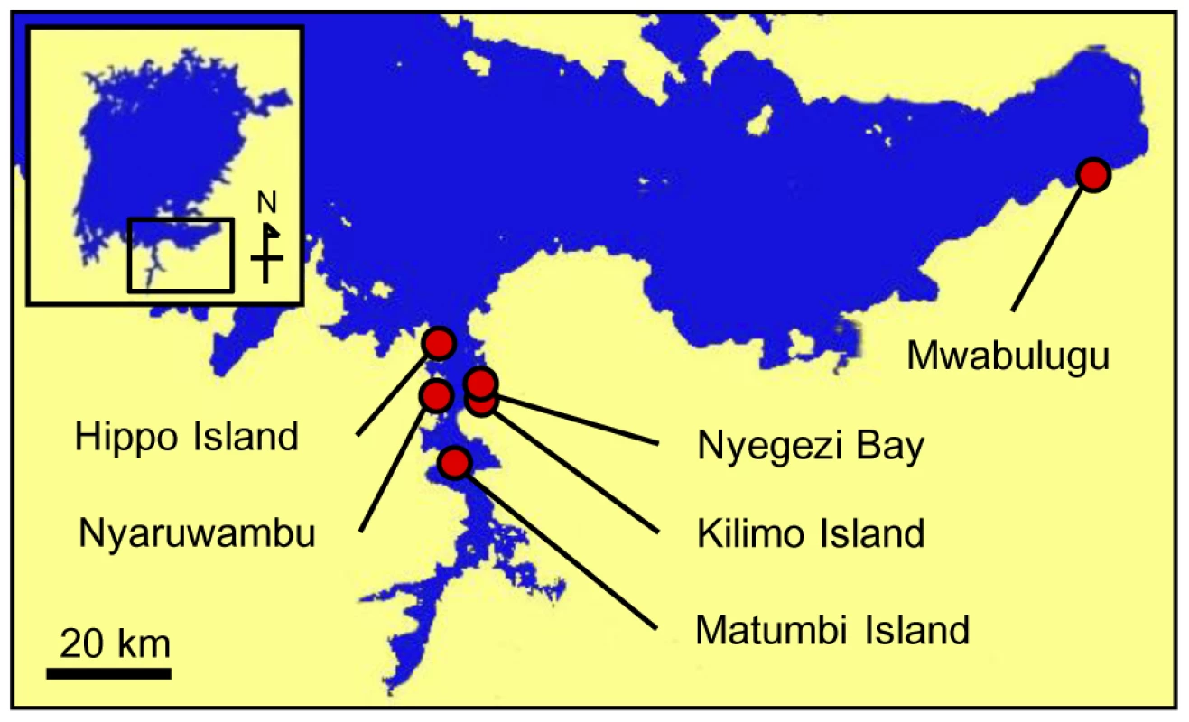 Sampling localities in Lake Victoria.