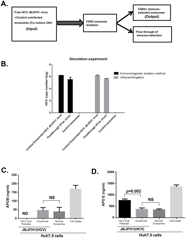Simulation study ruling out viral carryover of cell free HCV virus and purity of isolated exosome.