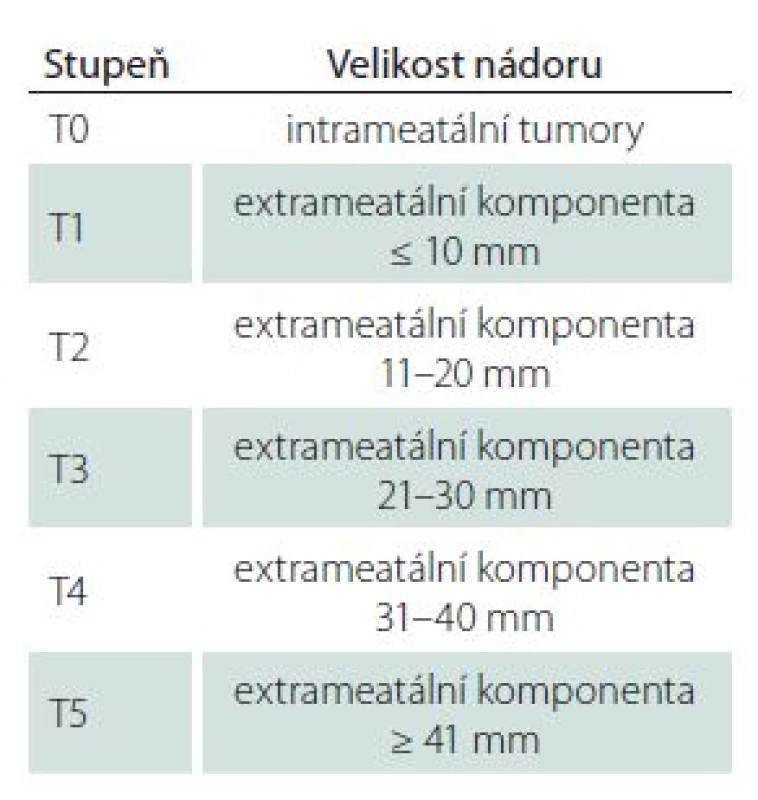 Mezinárodní klasifikace velikosti VS.