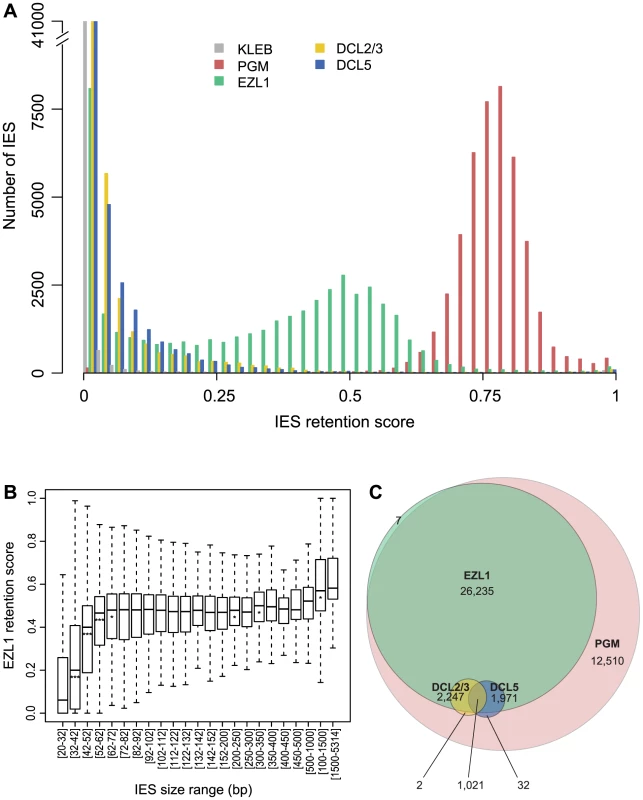 Genome-wide effects of EZL1, DCL2/3 or DCL5 KD on IES excision.