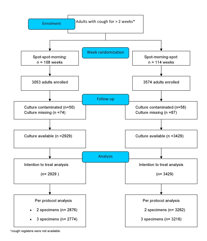 CONSORT flow diagram of the study.