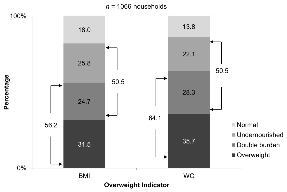 Double burden of malnutrition in refugee households.
