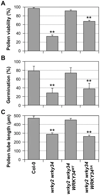 Complementation of <i>wrky2-1 wrky34-1</i> double mutant pollen phenotypes by <i>WRKY34<sup>WT</sup></i> and <i>WRKY34<sup>SA</sup></i>.