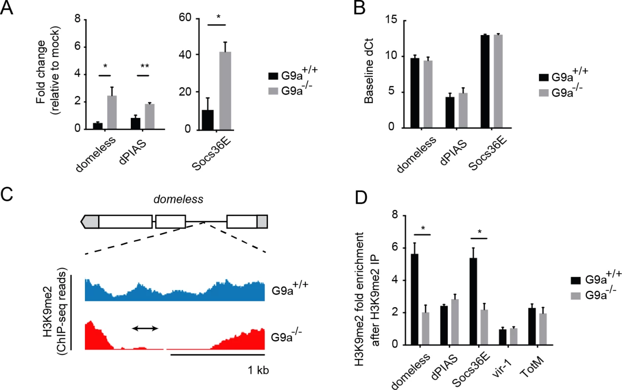 <i>G9a</i> targets genes of the Jak-Stat pathway.