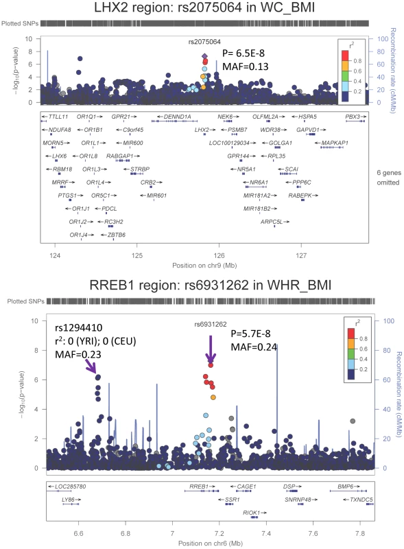 Regional association plots based on single GC-corrected p-value for <i>LHX2</i> and <i>RREB1</i>, Stage 1 only.