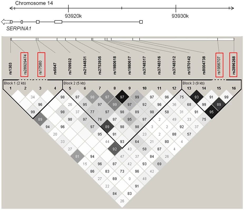 LD plot among common and low-frequent SNPs in the <i>SERPINA1</i> gene within the SAPALDIA study.