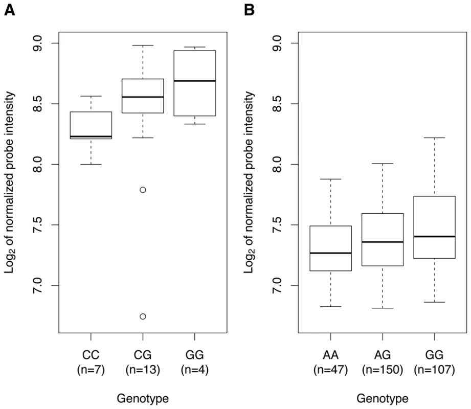 Association of rs342293 genotypes with <i>PIK3CG</i> transcript levels in platelets and macrophages.
