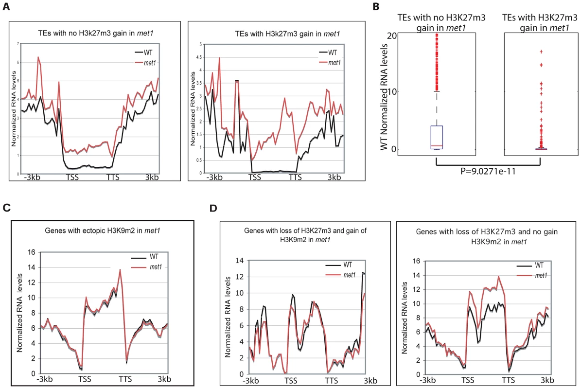 Genome-wide expression analyses.