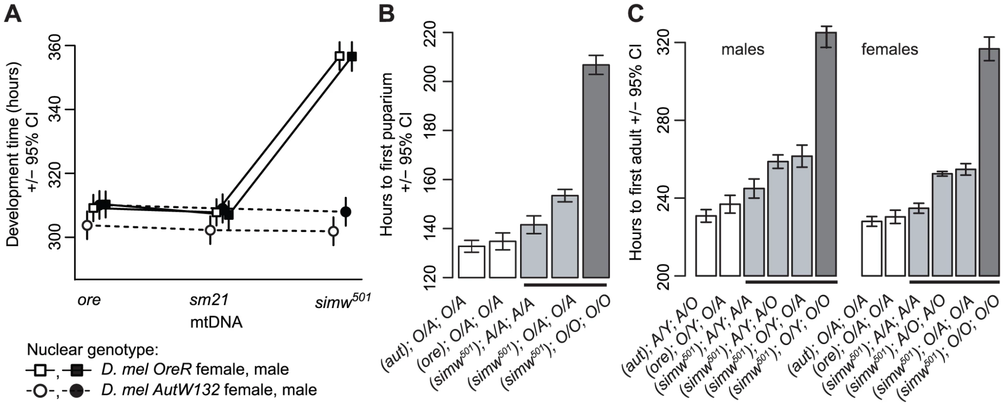 Effects of a mitochondrial–nuclear interaction on development.
