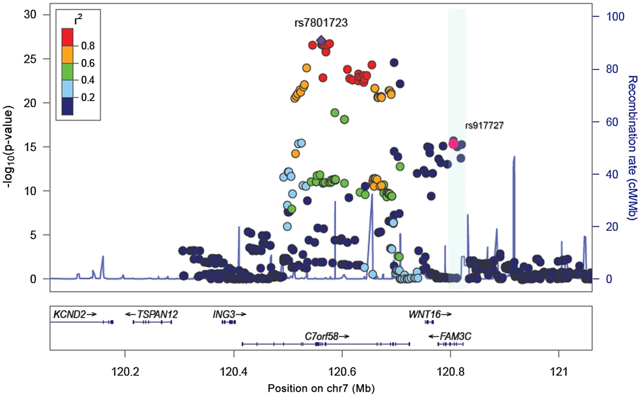 Association plots for skull-BMD.