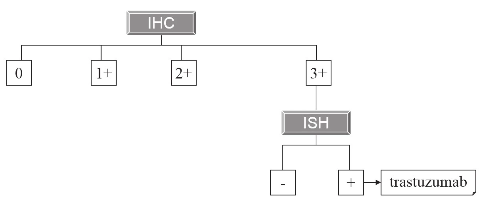 Algoritmus indikace terapie trastuzumabem na základě morfologické prediktivní diagnostiky.