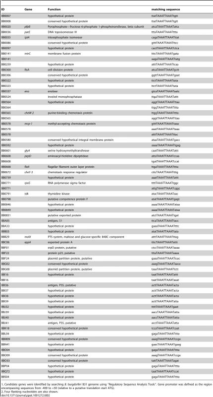 <i>Borrelia burgdorferi</i> genes containing a perfect direct repeat sequence (TAAATTAAAT) in their putative promoter regions.